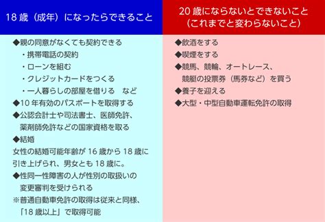 jap 18 net porn|成人年齢の引き下げで高校生のAV出演が解禁に